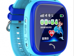 uploaded 2017 15 10 2017205 30 3920PM cr 250x190 1