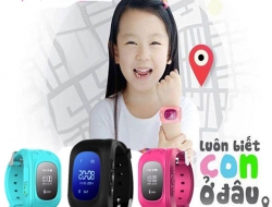 uploaded 345 1 cr 250x190 2